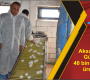 Aksaray’da Günlük 40 bin yumurta üretiyor