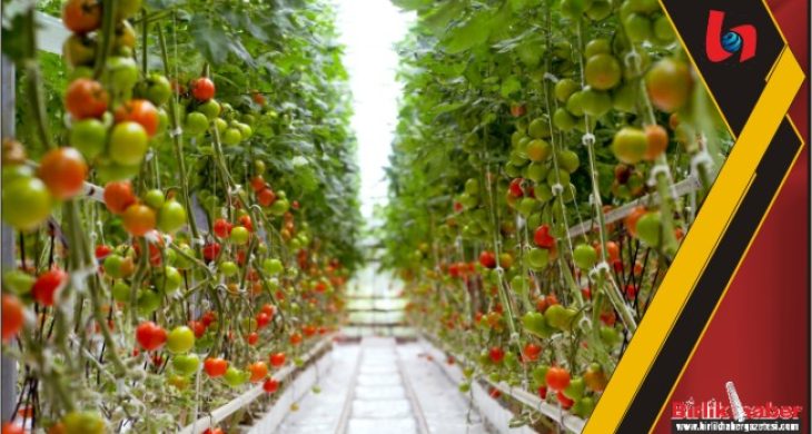 Aksaray’da Kadın İstihdamı İle Üretim Artacak