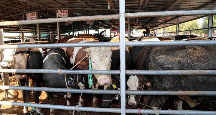 Aksaray’da Kurban Kesim Yerleri Belli Oldu