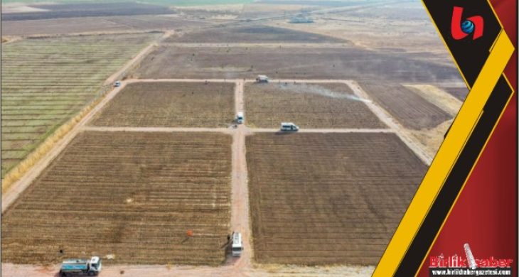 Aksaray’da Lavanta Bahçesi Görsel Şölene Hazırlanıyor