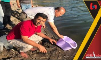Aksaray’daki Göletler Balıklandırıldı