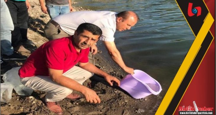 Aksaray’daki Göletler Balıklandırıldı