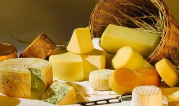 Antalya’da Avrupa’nın En Ünlü Peynirlerini Üretiyor
