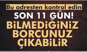 Bilmediğiniz vergi borcunuz olabilir