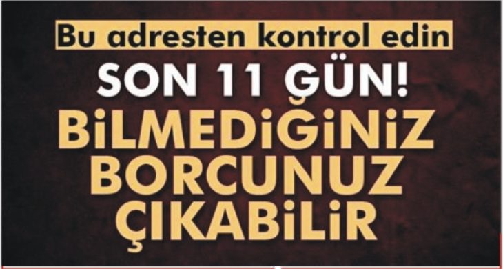 Bilmediğiniz vergi borcunuz olabilir