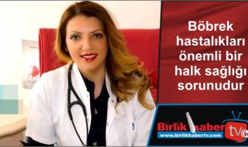 Böbrek hastalıkları önemli bir halk sağlığı sorunudur