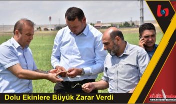 Dolu Ekinlere Büyük Zarar Verdi