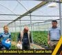 Domates Güvesi Mücadelesi İçin Seralara Tuzaklar Asıldı
