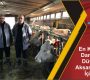 En Kaliteli Damızlık Düveler Aksaray’ımız İçin…