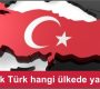 En çok Türk hangi ülkede yaşıyor