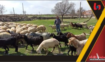 Engelli ve Eski Hükümlülere Hibe Desteği