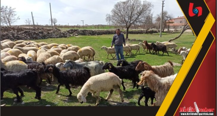 Engelli ve Eski Hükümlülere Hibe Desteği