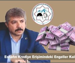 Esnafın Krediye Erişimindeki Engeller Kaldırılmalı