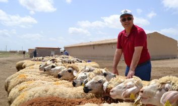 Başkan Özkök “Çift ile koyun gerisi oyun”