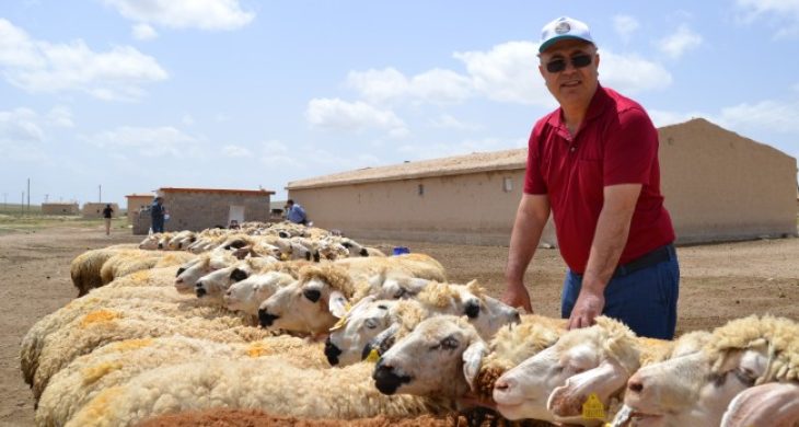 Başkan Özkök “Çift ile koyun gerisi oyun”