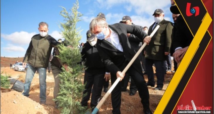 Geleceğe nefes olmak için Aksaray’da binlerce fidanı toprakla buluşturuyoruz