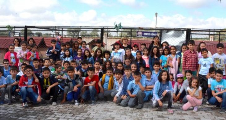 Hayvan Rehabilitasyon Merkezi, Hayvan Severlerin ve Öğrencilerin Akınına Uğruyor