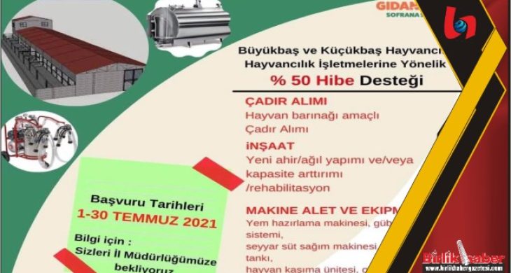 Hayvancılık İşletmelerine Yönelik %50 Hibe Desteği
