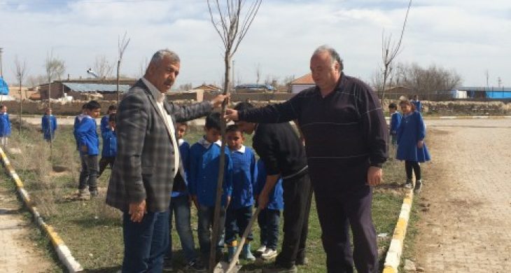 Yapılcan  Köy Muhtarlığı  1000 adet fidan dikti