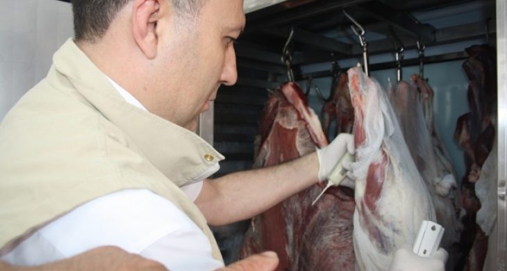 Et Reyonları Denetleniyor