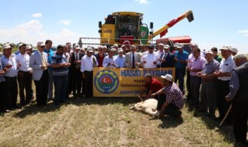 Aksaray’da Hasat Bayramı