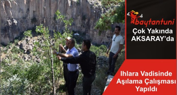 Ihlara Vadisinde Aşılama Çalışması Yapıldı