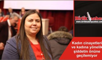 Kadın cinayetleri ve kadına yönelik şiddetin önüne geçilemiyor