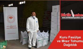 Kuru Fasülye ve Mısır Tohumu Dağıtıldı