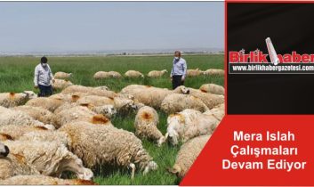 Mera Islah Çalışmaları Devam Ediyor