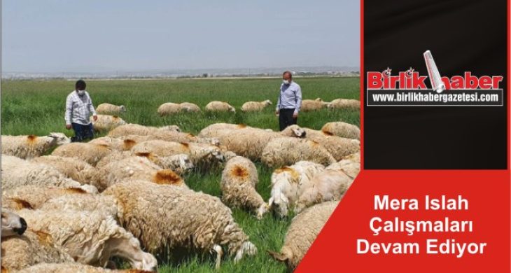 Mera Islah Çalışmaları Devam Ediyor