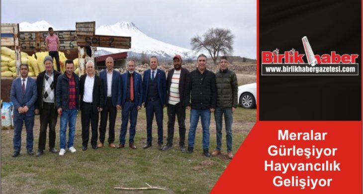 Meralar Gürleşiyor Hayvancılık Gelişiyor
