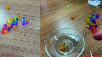 Öğretmenin Dikkati Facianın Önüne Geçti, Ticaret İl Müdürlüğü Harekete Geçti