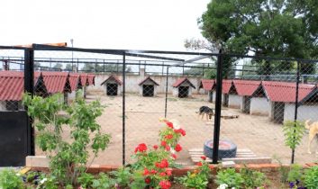 Hayvan Bakımevi’ne Vali Yardımcısı’dan Tam Not