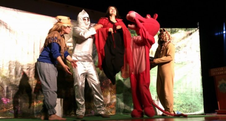 Pembe Panter Çocuk Tiyatrosu Aksaray’da