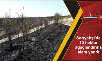 Sarıyahşi’de 10 hektar ağaçlandırma alanı yandı