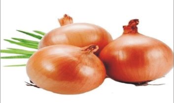 Soğan En Doğal Antibiyotik