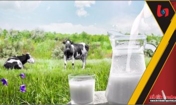 Sütün fiyatına yüzde 47 zam!