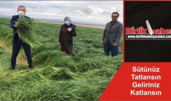 Sütünüz Tatlansın Geliriniz Katlansın