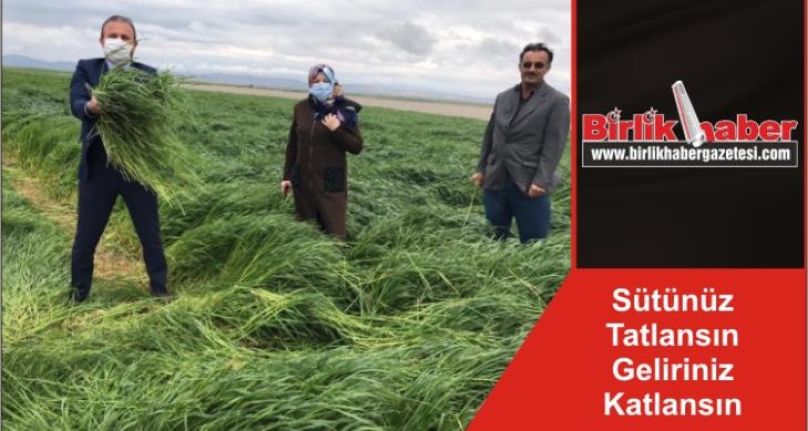 Sütünüz Tatlansın Geliriniz Katlansın