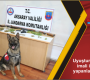 Uyuşturucu madde imali ile ticareti yapanlar yakalandı