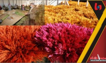 Vali Aydoğdu: ‘Burada inanılmaz bir başarı hikayesi var’