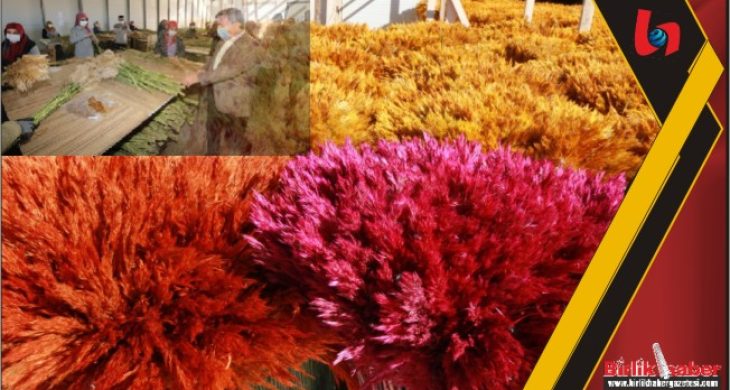 Vali Aydoğdu: ‘Burada inanılmaz bir başarı hikayesi var’