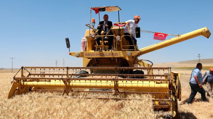 Yerli ve milli buğdayın Aksaray’da ekiminin yaygınlaştırılması hedefleniyor