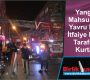 Yangında Mahsur Kalan Yavru Kediler İtfaiye Ekipleri Tarafından Kurtarıldı
