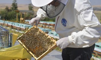 ABB’den arı üreticilerine büyük destek