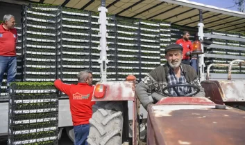 ABB’den 8 ilçede erkenci fide desteği 268 çiftçiye toplamda 624 bin 120 adet erkenci sebze fidesi