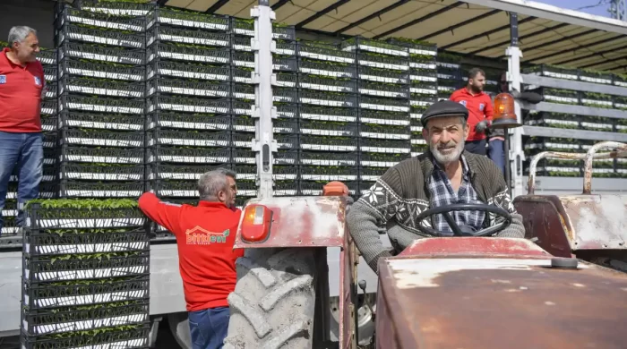 ABB’den 8 ilçede erkenci fide desteği 268 çiftçiye toplamda 624 bin 120 adet erkenci sebze fidesi