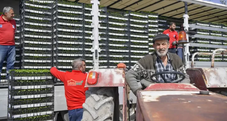 ABB’den 8 ilçede erkenci fide desteği 268 çiftçiye toplamda 624 bin 120 adet erkenci sebze fidesi