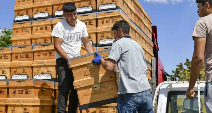 ABB’den arıcılara yüzde 50 hibeli kovan desteği