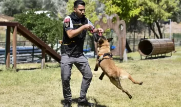 ABB’nin K9 ekipleri Başkent’te görev başında